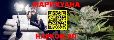 шишки Камышлов