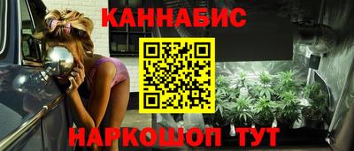 шишки Камышлов