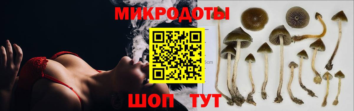 Вышний Волочёк  Галлюциногенные грибы мицелий  хочу   Вход с VPN 